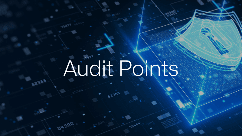 QueryPie Audit Points